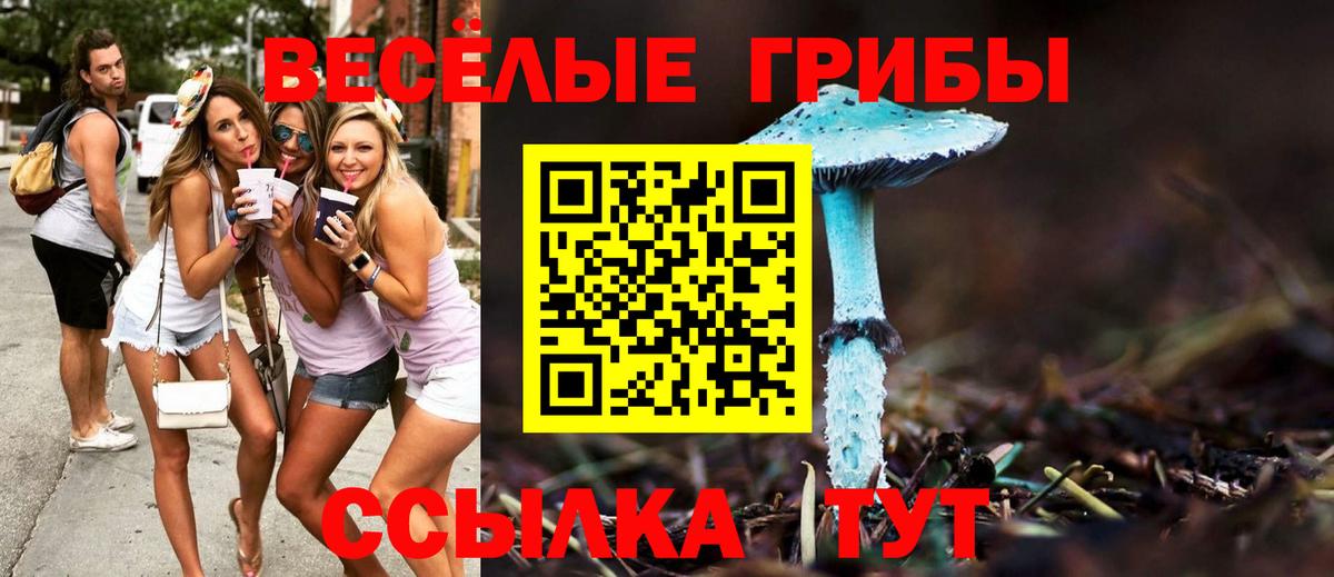 Галлюциногенные грибы Cubensis  Вход с VPN  Людиново 