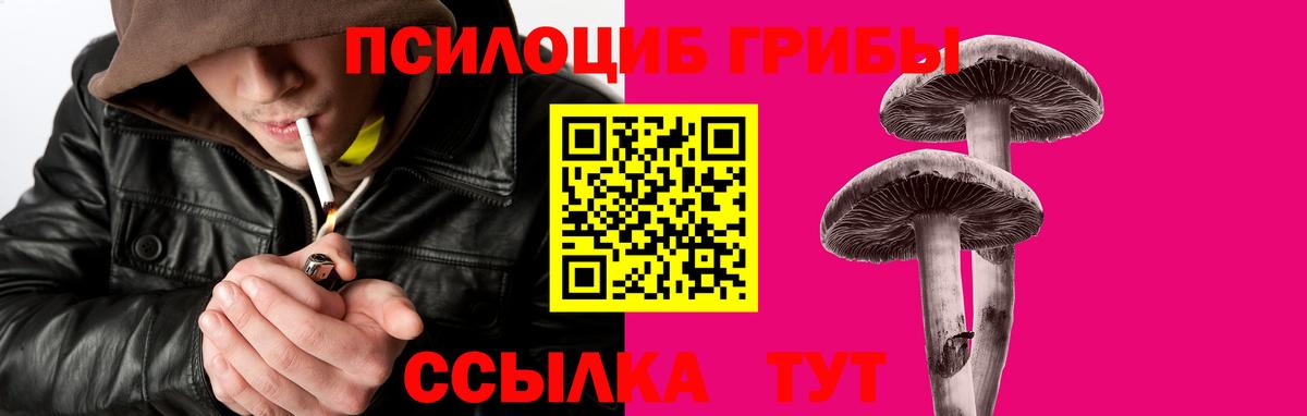 Псилоцибиновые грибы мицелий Людиново